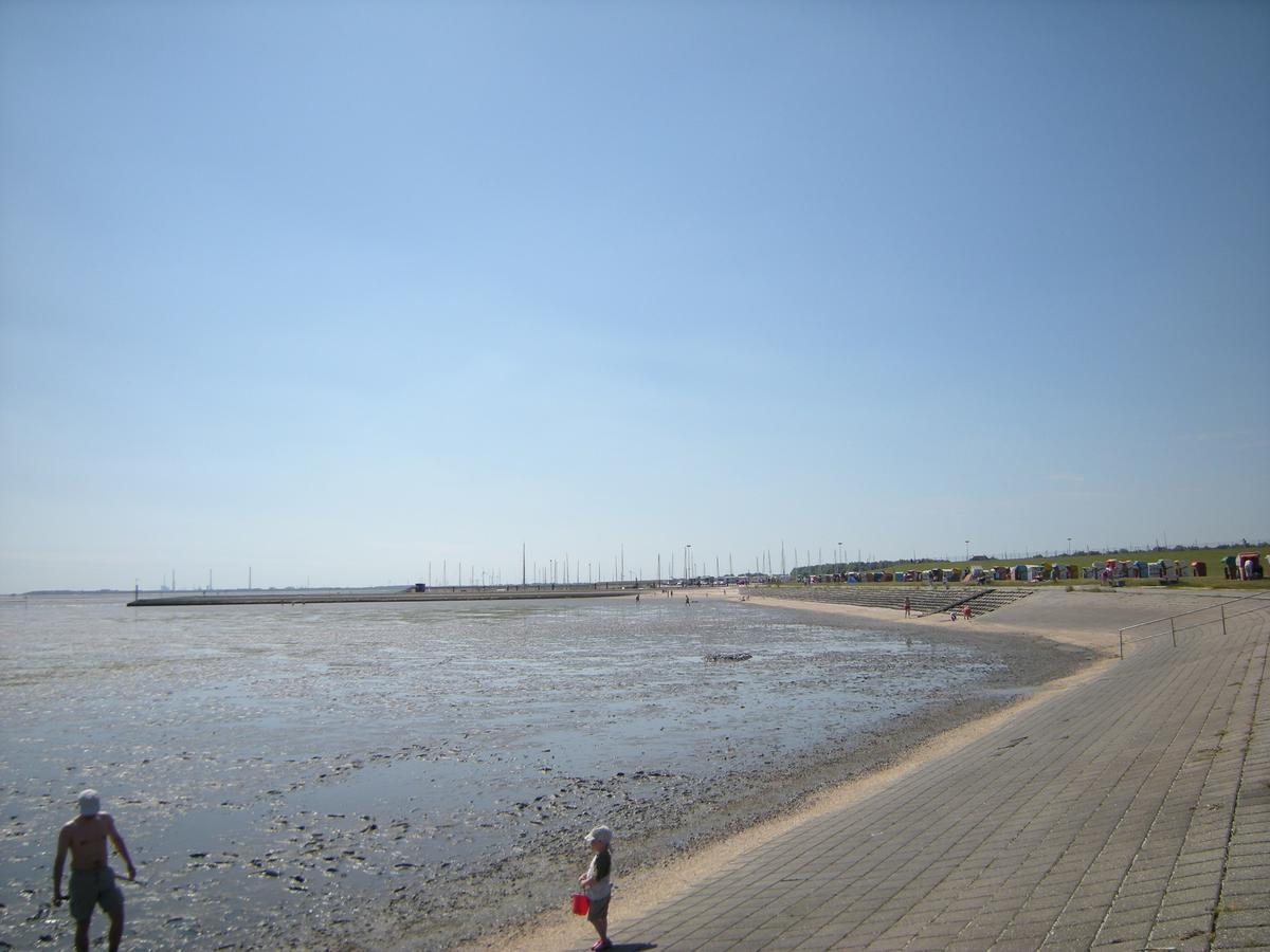 Strandgut هوروميرسيال المظهر الخارجي الصورة
