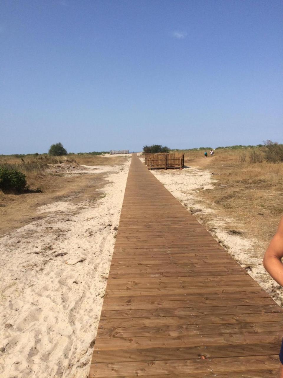 Strandgut هوروميرسيال المظهر الخارجي الصورة